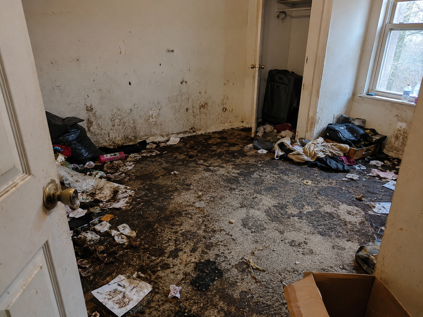 Biohazard scene requiring professional cleanup and decontamination