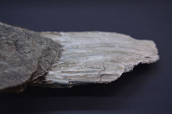 Anthophyllite-Asbestos