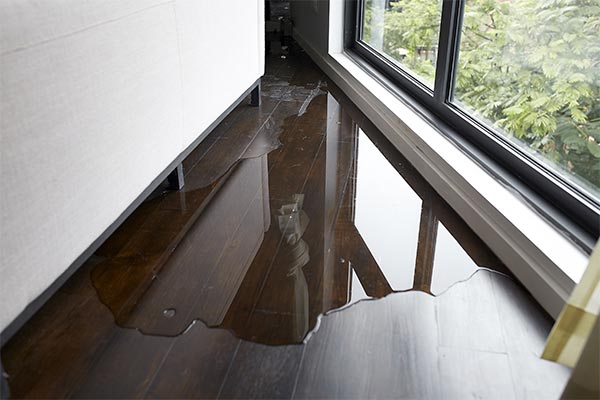 Water damage by leaking window