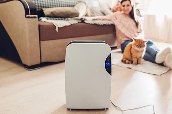 Woman using dehumidifier to prevent mold and mildew