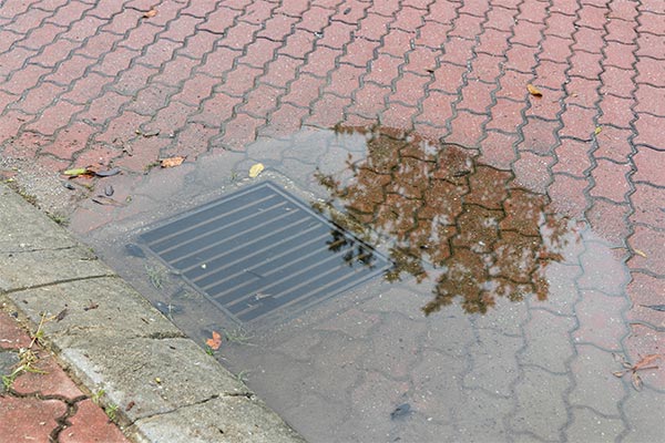 backup-sewer-drain