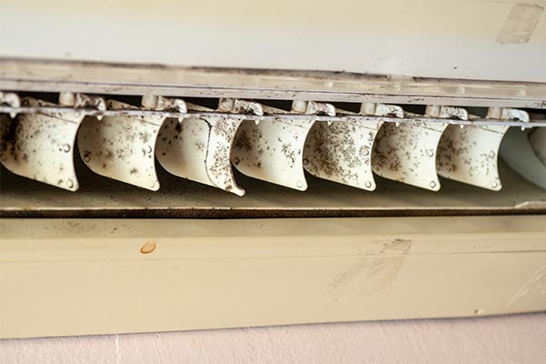 mold-on-ac-fan
