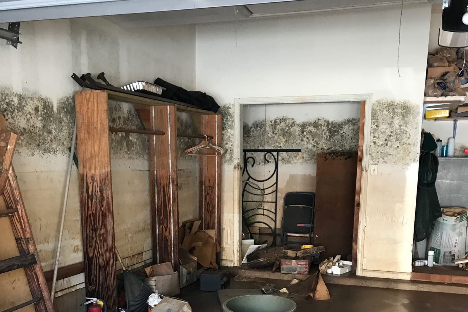 Mold remediation