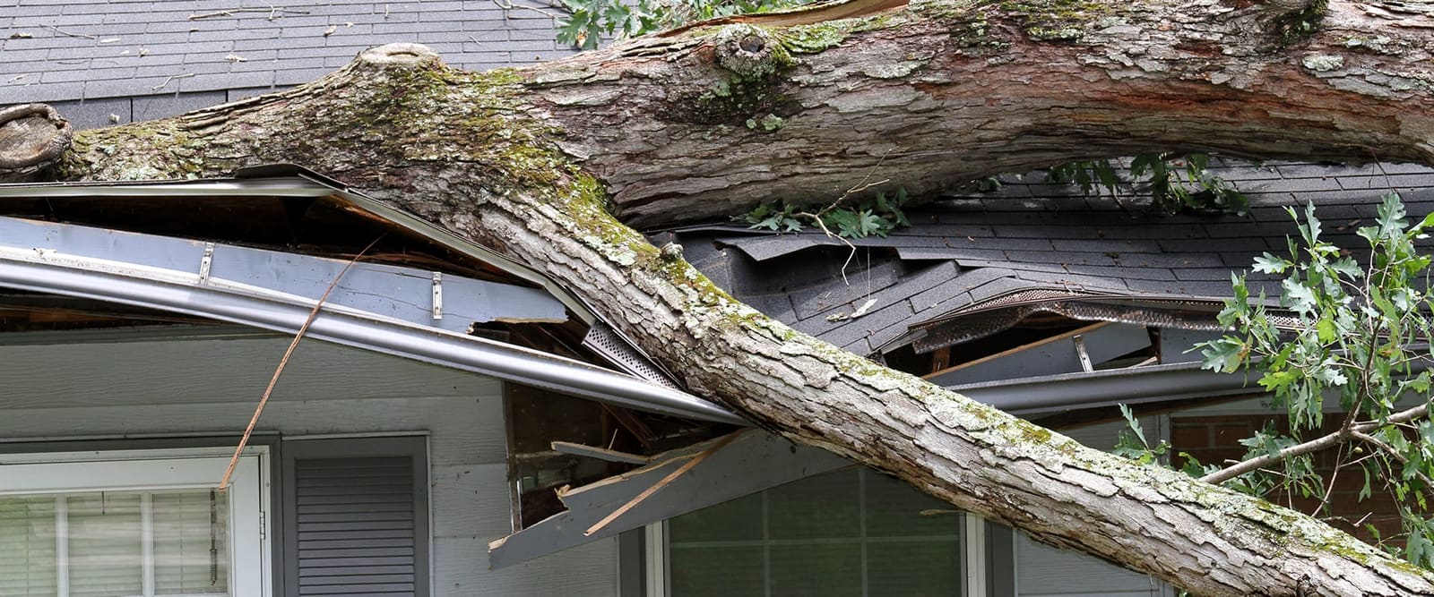 Storm damage restoration
